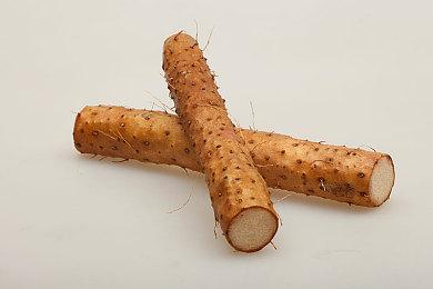 Steam好评如潮 《林间小世界》玩家数量突破50万